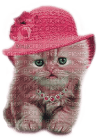 Y.A.M._Cat - Free PNG