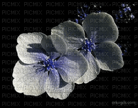 flower - Bezmaksas animēts GIF