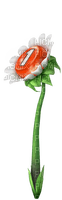 pellet posy red - Free PNG
