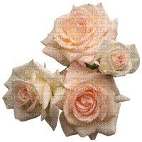 Trandafir 13 - kostenlos png