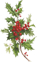✶ Christmas Ornament {by Merishy} ✶ - δωρεάν png
