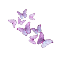 Butterflies ♫{By iskra.filcheva}♫ - zadarmo png