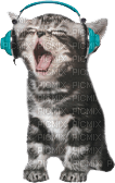 Kathleen Reynolds Cat Kitten - Free PNG