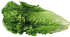 Kaz_Creations Vegetables - png gratis