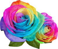 Rainbow Rose - Free PNG