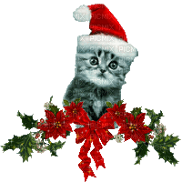 Кот, новый год, гиф, Карина - Gratis geanimeerde GIF