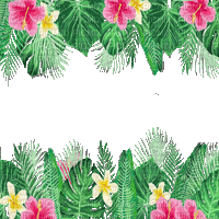 frame summer dolceluna animated tropical