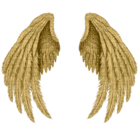 golden wings5- Nitsa - png ฟรี