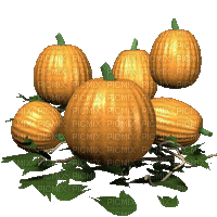 Halloween, pumpkin, gif, Adam64