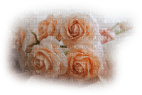 patymirabelle fleurs rose - png gratis