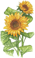 soave deco flowers sunflowers branch yellow green - ücretsiz png