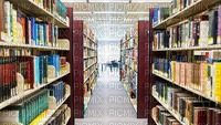 library - png gratis