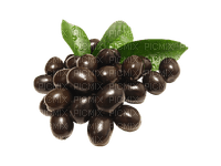 olives bp - безплатен png