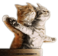 Rena Cats Love Liebe Katzen - PNG gratuit