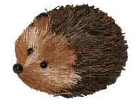 Hedgehog - kostenlos png