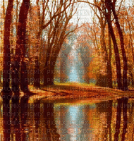 Fall, Autumn - Gratis animerad GIF