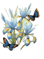loly33 fleur papillon - darmowe png