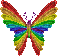 бабочка - Бесплатный анимированный гифка