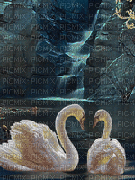Swans in Love - GIF animé gratuit