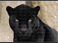 Panthere noir - nemokama png