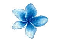 Синие лепестки - Nemokamas animacinis gif