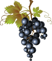 grapes   Bb2 - безплатен png