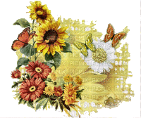munot - herbst blumen sonnenblumen - autumn flowers sunflowers - automne fleurs tournesols