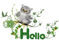 hello hibou - Darmowy animowany GIF