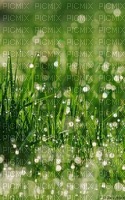 herbe - 無料png