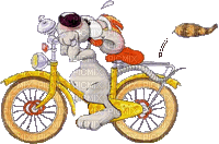 vélo - GIF animate gratis