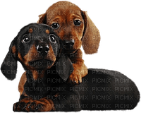 Kaz_Creations Animals Dog Pup - png gratis