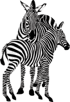 Kaz_Creations Zebra - kostenlos png