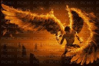 hot wings - zdarma png