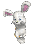bunny5 - GIF animasi gratis
