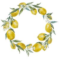 lemon wreath Bb2 - zadarmo png