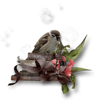 bird-fågel-böcker-bok-deco-minou52 - PNG gratuit