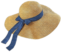 Chapeau.Hat.Spring.Summer.Victoriabea - PNG gratuit