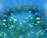 bg blå med vita blommor - 免费PNG