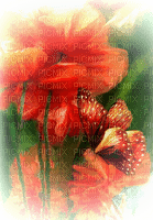 loly33  coquelicot - Free PNG