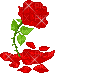 роза - GIF animate gratis