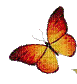 butterfly - Gratis animerad GIF