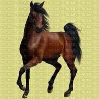 chevaux(pour concour stamp) pour mapucejtm - gratis png