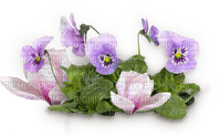 spring printemps  purlpe deco tube flower fleur blumen blossoms fleurs
