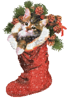 christmas cat chat noel GIF - GIF animé gratuit