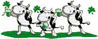 st. patrick COWS ANIMATED DANCIng