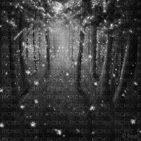 Y.A.M._Fantasy forest background black-white - Gratis animeret GIF
