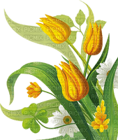 tulips flowers spring easter fleur printemps - 無料png