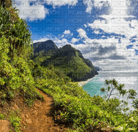 Rena Hawaii Hintergrund - gratis png