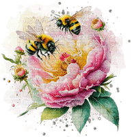 bee, flower, summer, abeille, été, japan - фрее пнг
