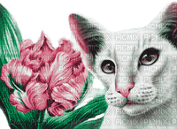Y.A.M._Art Fantasy cat - PNG gratuit